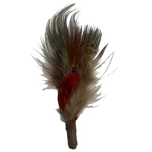 Pluma Stetson Para Sombrero Beige