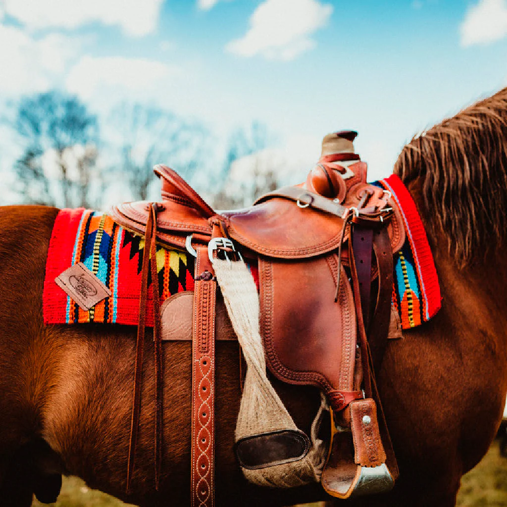 Carona Impact Gel IGC1480 36 X 34 - Imagen 7