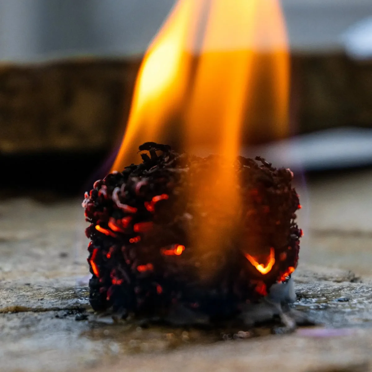 Eco Fire Starters - Imagen 5