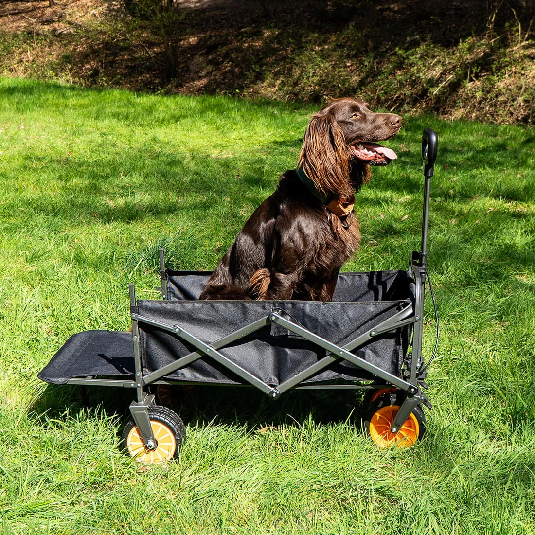 Electric Camping Wagon - Imagen 3