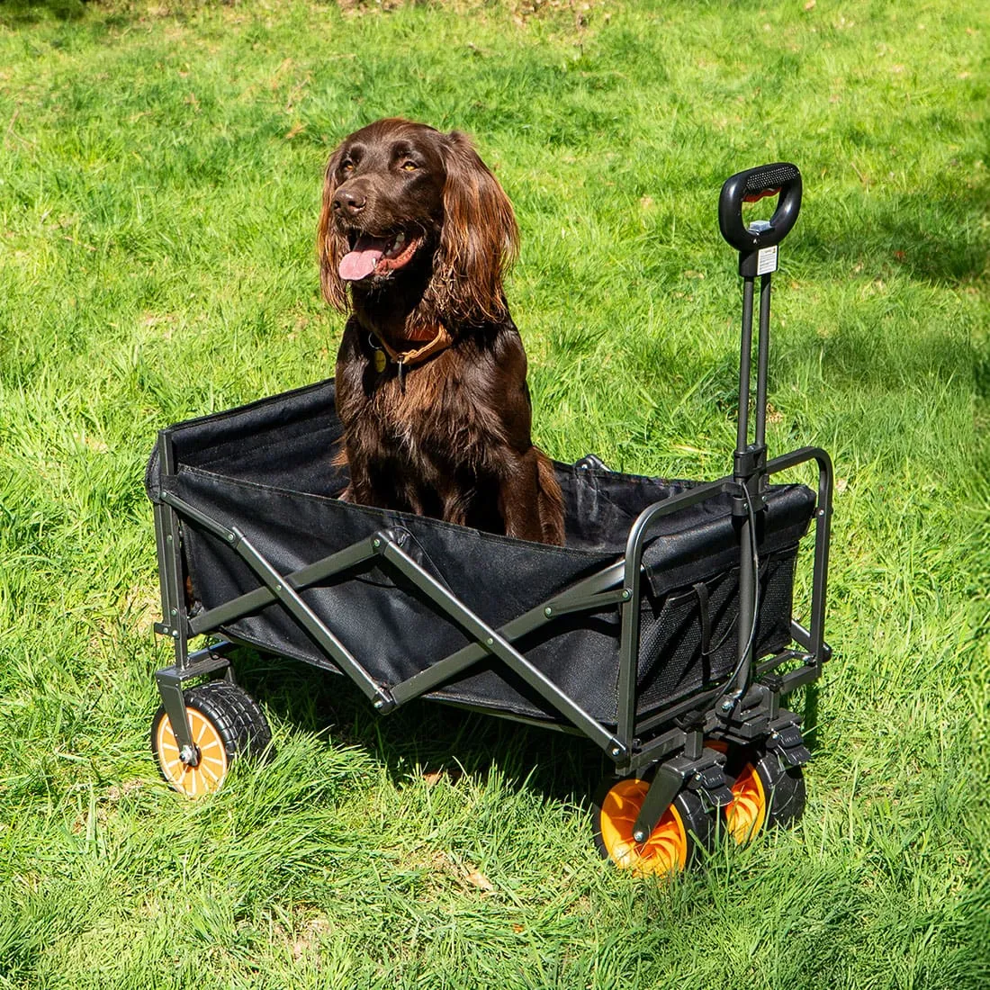 Electric Camping Wagon - Imagen 2