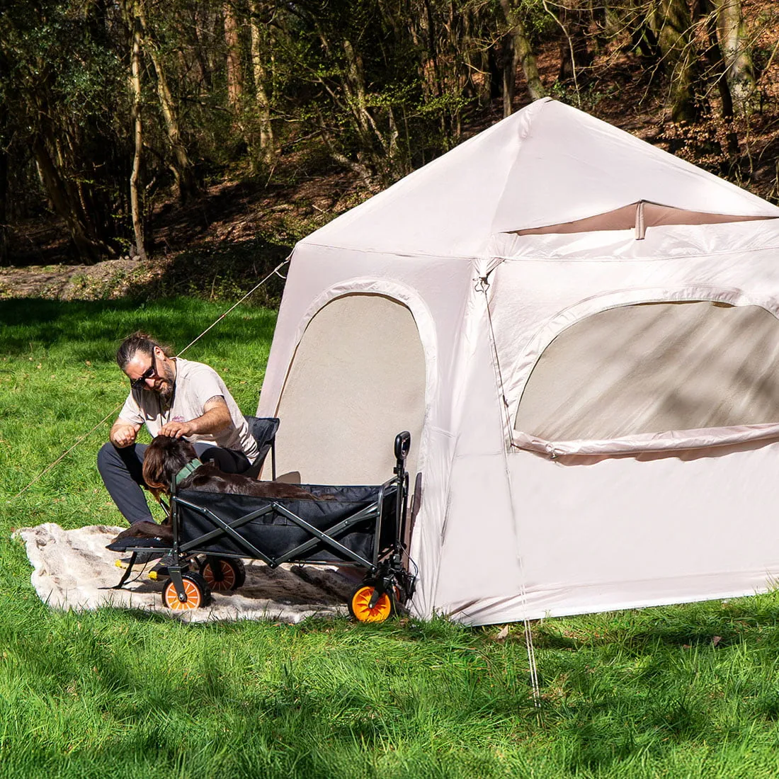 Electric Camping Wagon - Imagen 4